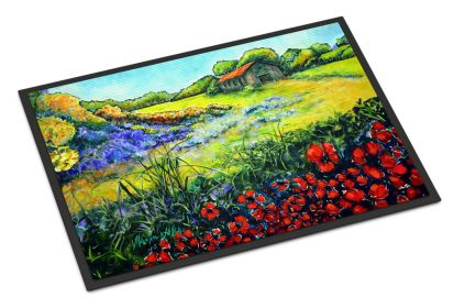 Back Home Doormat Front Door Mat Indoor Outdoor Rugs for Entryway, Non Slip Washable Low Pile, 24H X 36W
